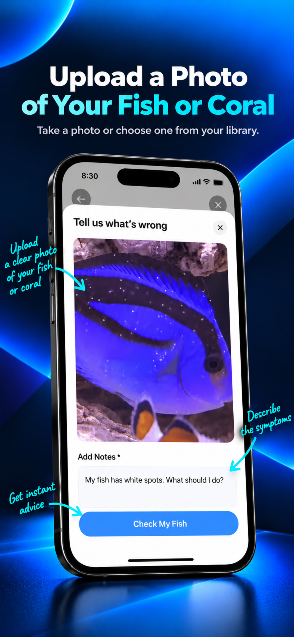 Upload a fish or coral photo and describe the symptoms in Reef Expert